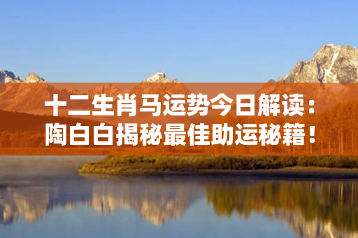 十二生肖马运势今日解读：陶白白揭秘最佳助运秘籍！