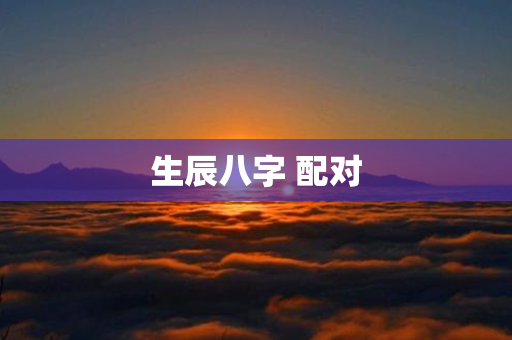 生辰八字 配对