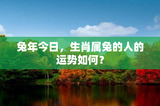 兔年今日，生肖属兔的人的运势如何？