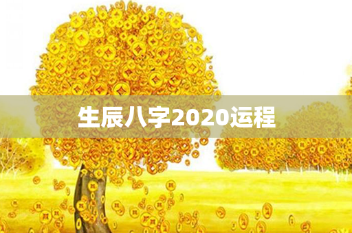 生辰八字2020运程