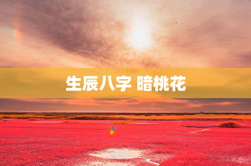 生辰八字 暗桃花