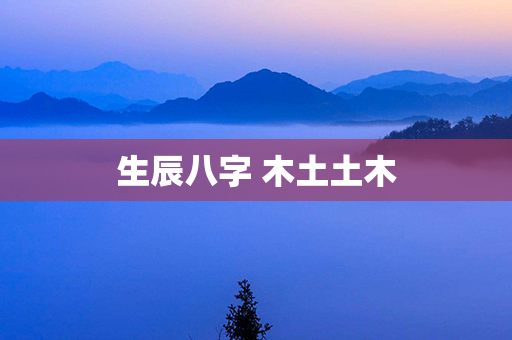 生辰八字 木土土木