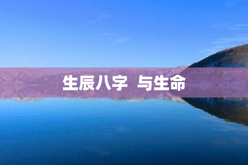 生辰八字  与生命