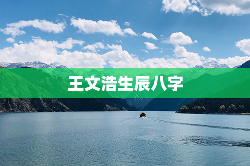 王文浩生辰八字