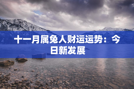 十一月属兔人财运运势：今日新发展