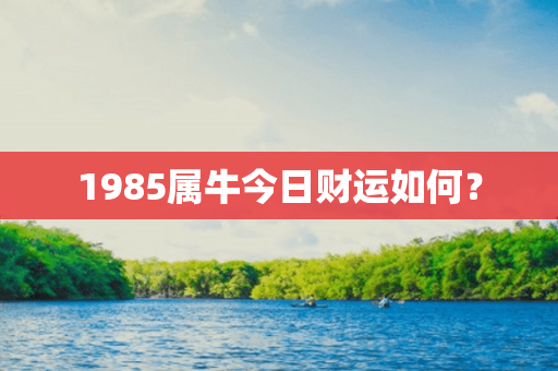 1985属牛今日财运如何？