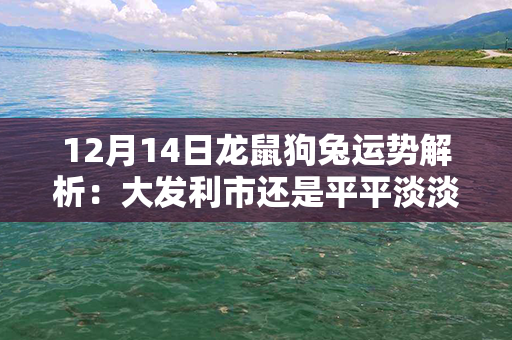 12月14日龙鼠狗兔运势解析：大发利市还是平平淡淡？