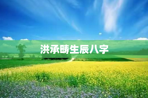 洪承畴生辰八字