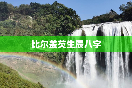 比尔盖芡生辰八字