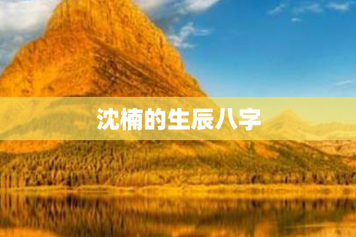 沈楠的生辰八字