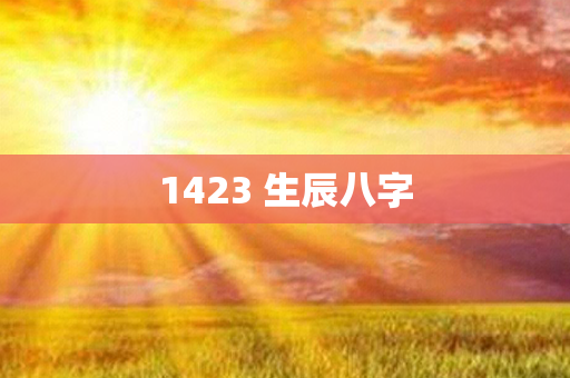 1423 生辰八字