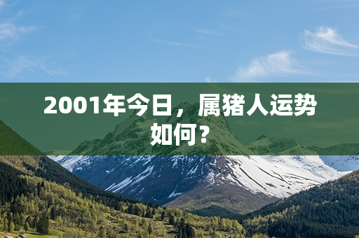 2001年今日，属猪人运势如何？