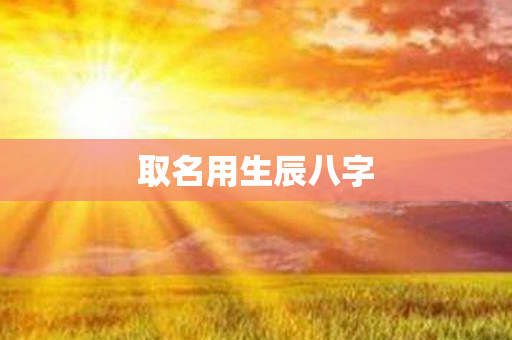 取名用生辰八字