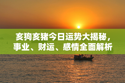 亥狗亥猪今日运势大揭秘，事业、财运、感情全面解析