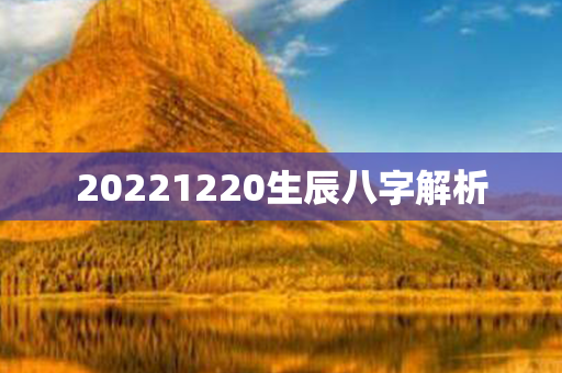 20221220生辰八字解析