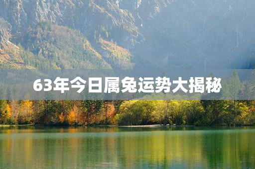 63年今日属兔运势大揭秘