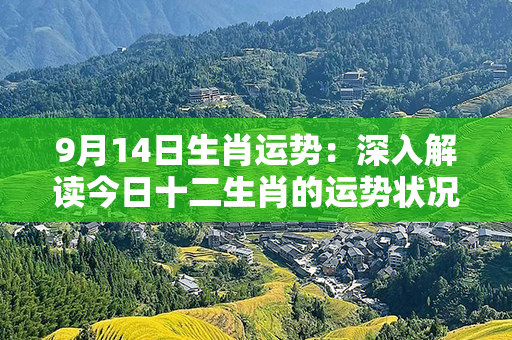 9月14日生肖运势：深入解读今日十二生肖的运势状况