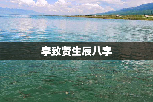 李致贤生辰八字