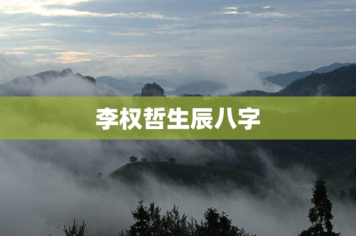 李权哲生辰八字