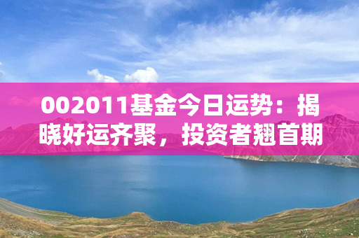 002011基金今日运势：揭晓好运齐聚，投资者翘首期盼，财富之门即将敞开！