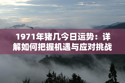 1971年猪几今日运势：详解如何把握机遇与应对挑战