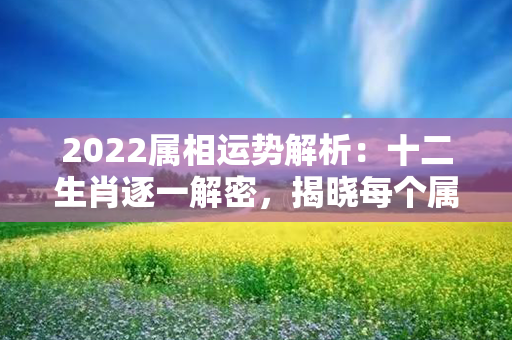 2022属相运势解析：十二生肖逐一解密，揭晓每个属相的运势趋势