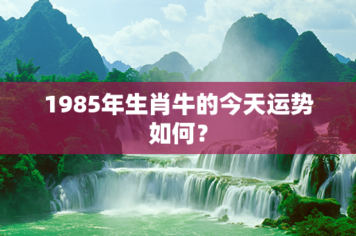 1985年生肖牛的今天运势如何？