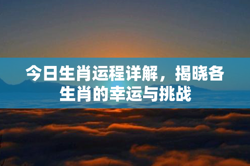 今日生肖运程详解，揭晓各生肖的幸运与挑战