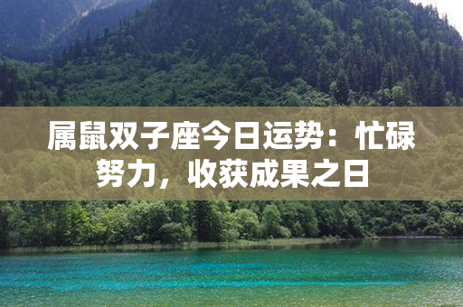 属鼠双子座今日运势：忙碌努力，收获成果之日