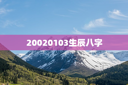 20020103生辰八字