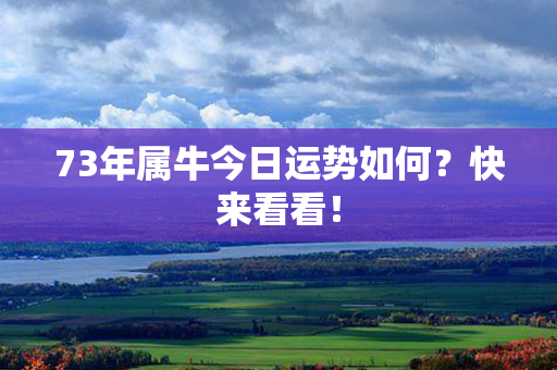 73年属牛今日运势如何？快来看看！