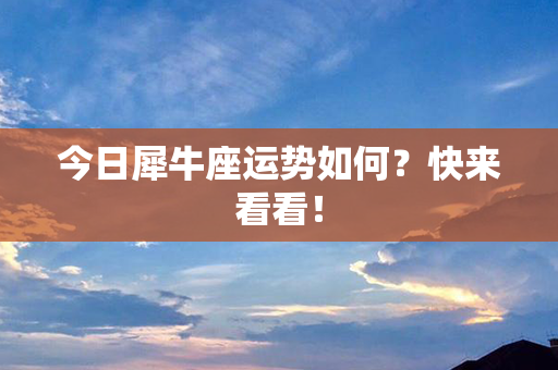 今日犀牛座运势如何？快来看看！