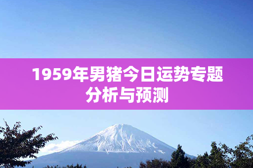 1959年男猪今日运势专题分析与预测