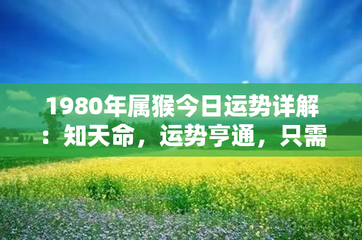 1980年属猴今日运势详解：知天命，运势亨通，只需坚持不懈，功名可期！