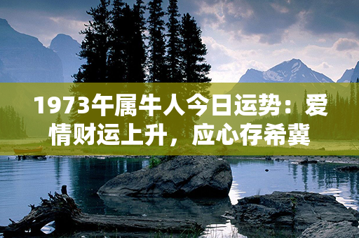 1973午属牛人今日运势：爱情财运上升，应心存希冀