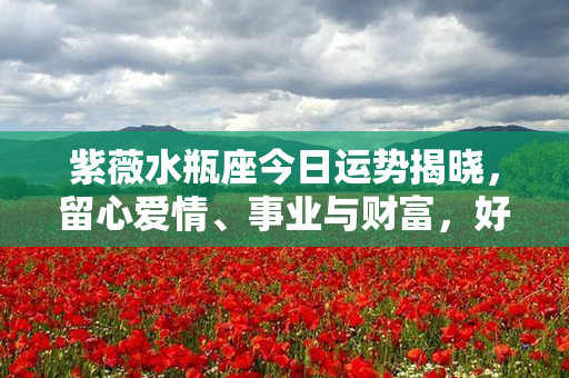 紫薇水瓶座今日运势揭晓，留心爱情、事业与财富，好运助你迈向成功！