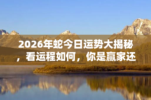 2026年蛇今日运势大揭秘，看运程如何，你是赢家还是输家？