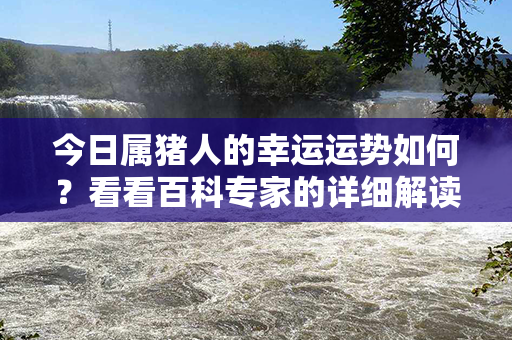 今日属猪人的幸运运势如何？看看百科专家的详细解读！