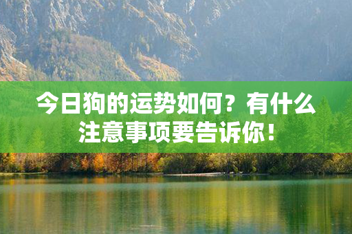 今日狗的运势如何？有什么注意事项要告诉你！