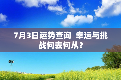 7月3日运势查询  幸运与挑战何去何从？