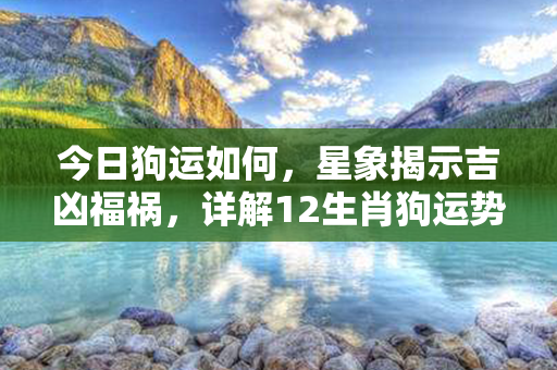 今日狗运如何，星象揭示吉凶福祸，详解12生肖狗运势预测