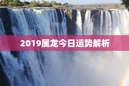 2019属龙今日运势解析