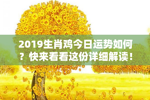 2019生肖鸡今日运势如何？快来看看这份详细解读！