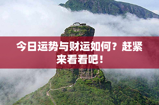 今日运势与财运如何？赶紧来看看吧！