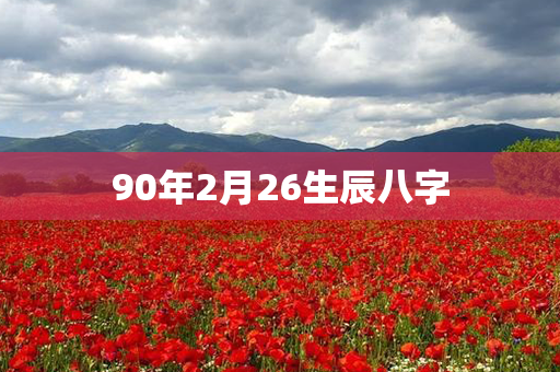 90年2月26生辰八字