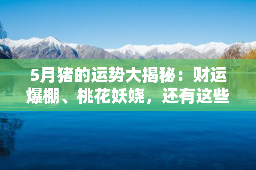 5月猪的运势大揭秘：财运爆棚、桃花妖娆，还有这些好消息！