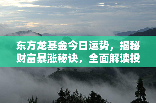 东方龙基金今日运势，揭秘财富暴涨秘诀，全面解读投资股市黄金指南