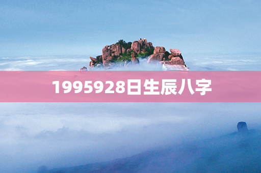 1995928日生辰八字