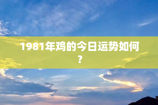 1981年鸡的今日运势如何？