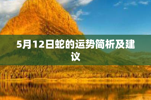 5月12日蛇的运势简析及建议